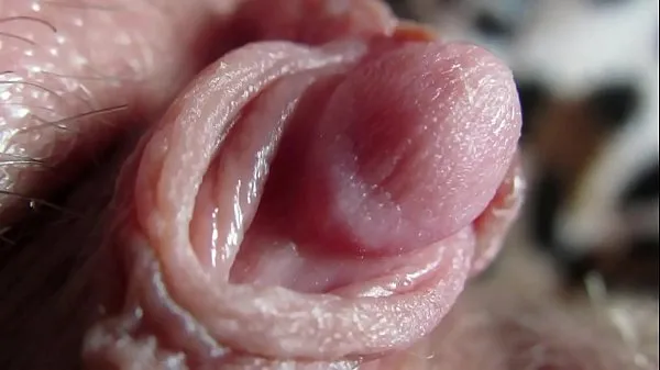 Big awesome big clitoris showing off fresh Videos