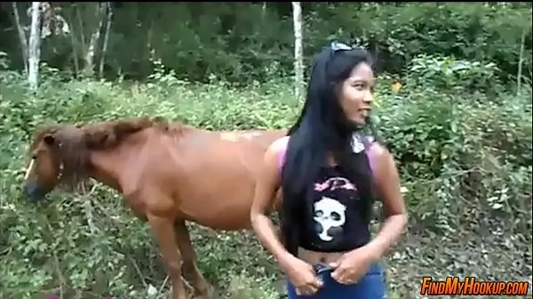 Stora Horse adventures färska videor